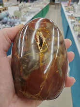 Load image into Gallery viewer, PETRIFIED WOOD FREEFORM
