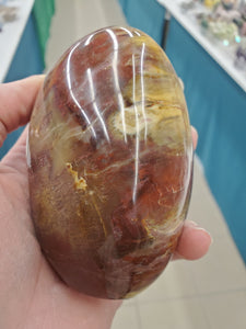 PETRIFIED WOOD FREEFORM