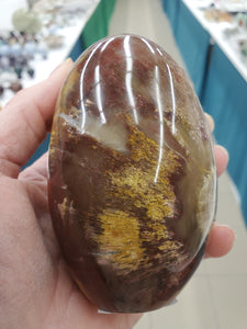 PETRIFIED WOOD FREEFORM