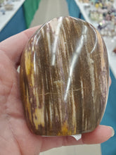 Load image into Gallery viewer, PETRIFIED WOOD FREEFORM
