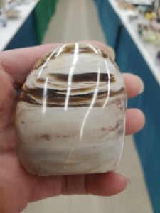 PETRIFIED WOOD FREEFORM