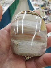 Load image into Gallery viewer, PETRIFIED WOOD FREEFORM
