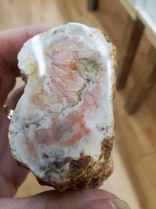PETRIFIED WOOD ONE SIDE POLISHED