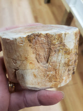 Load image into Gallery viewer, PETRIFIED WOOD ONE SIDE POLISHED
