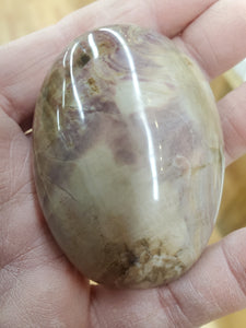 PETRIFIED WOOD PALM STONE