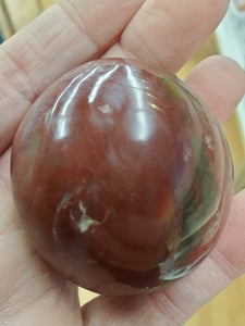 PETRIFIED WOOD PALM STONE
