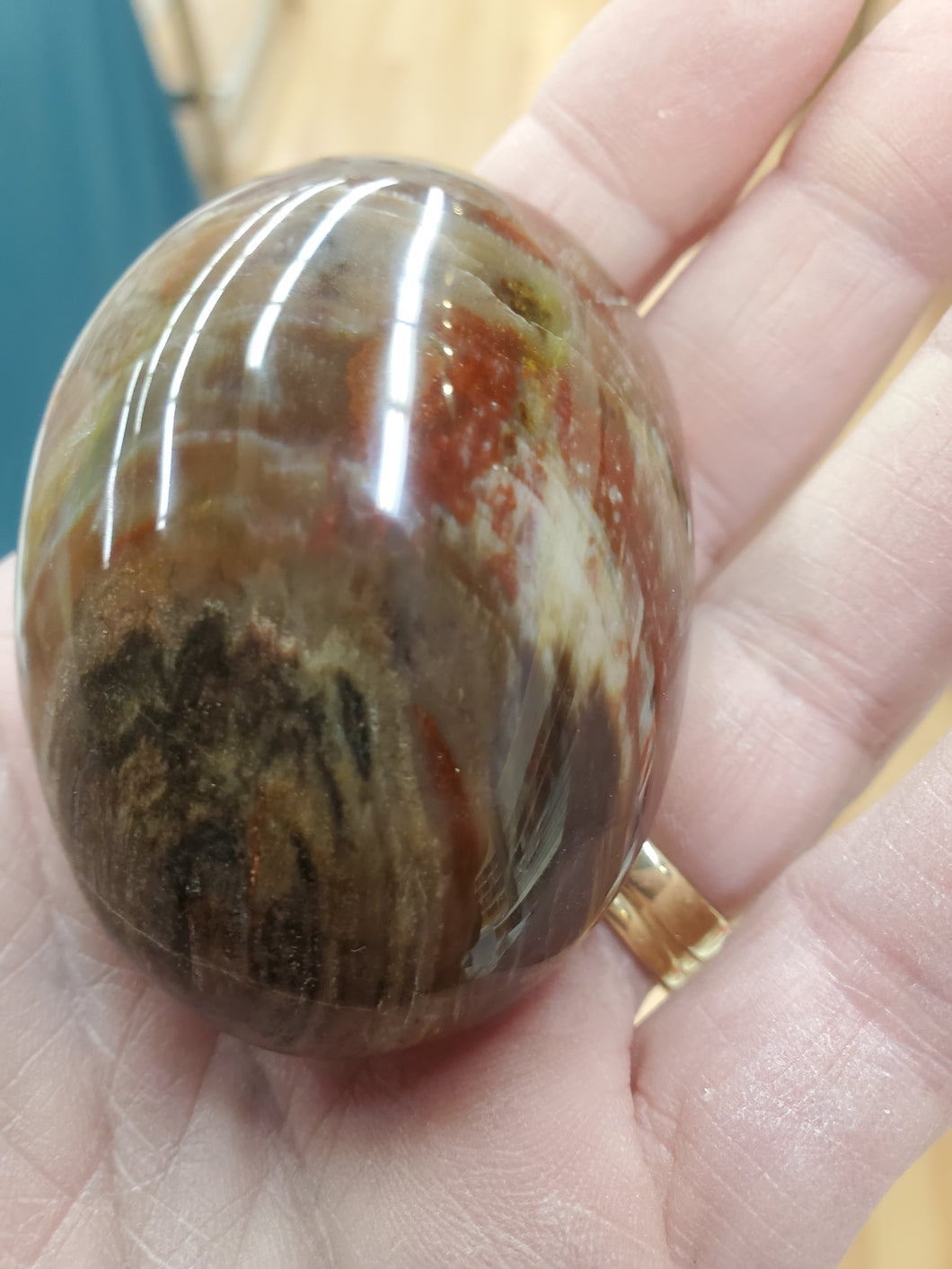 PETRIFIED WOOD PALM STONE