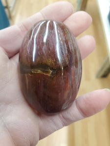 PETRIFIED WOOD PALM STONE