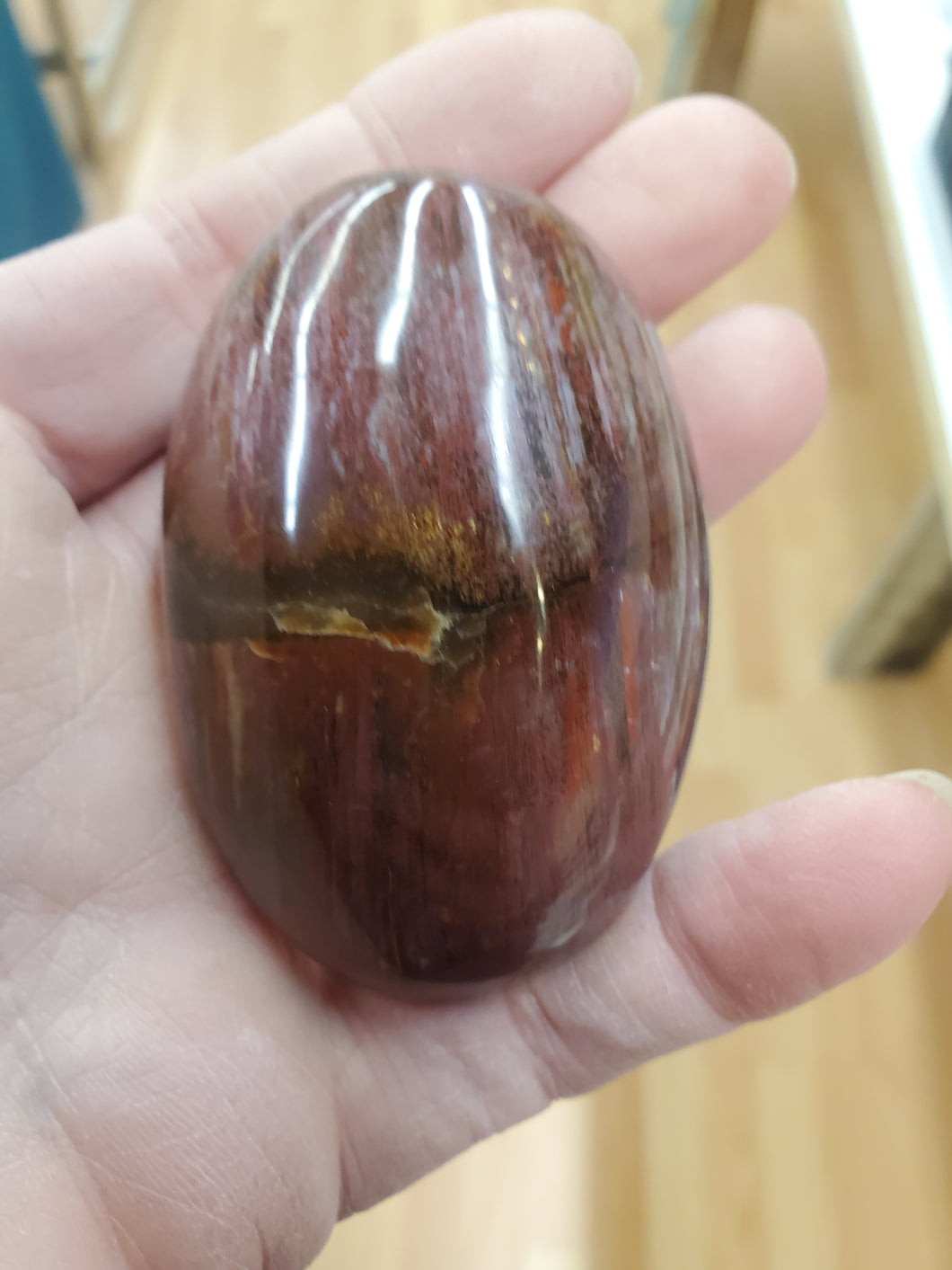 PETRIFIED WOOD PALM STONE