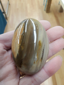 PETRIFIED WOOD PALM STONE