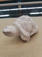 Load image into Gallery viewer, HOWLITE TURTLE
