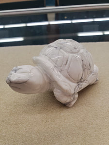 HOWLITE TURTLE
