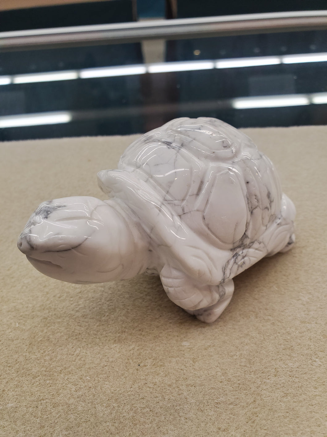 HOWLITE TURTLE