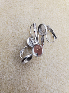 304 STAINLESS LEVERBACK EARRING