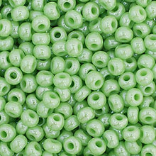 Load image into Gallery viewer, Czech Seed Bead Luster 11/0
