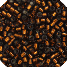 Load image into Gallery viewer, Miyuki Delica 11/0 Ambers/Browns
