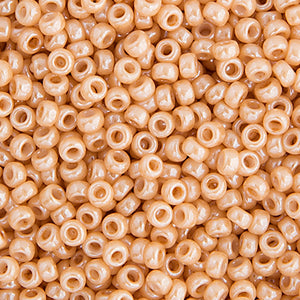MIYUKI SEED BEAD 11/0 0593