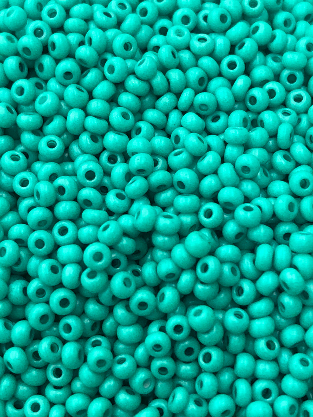 CZECH SEED BEAD 11/0 43132