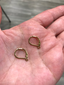 304 STAINLESS LEVERBACK EARRING