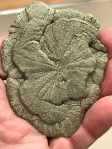 PYRITE SUN