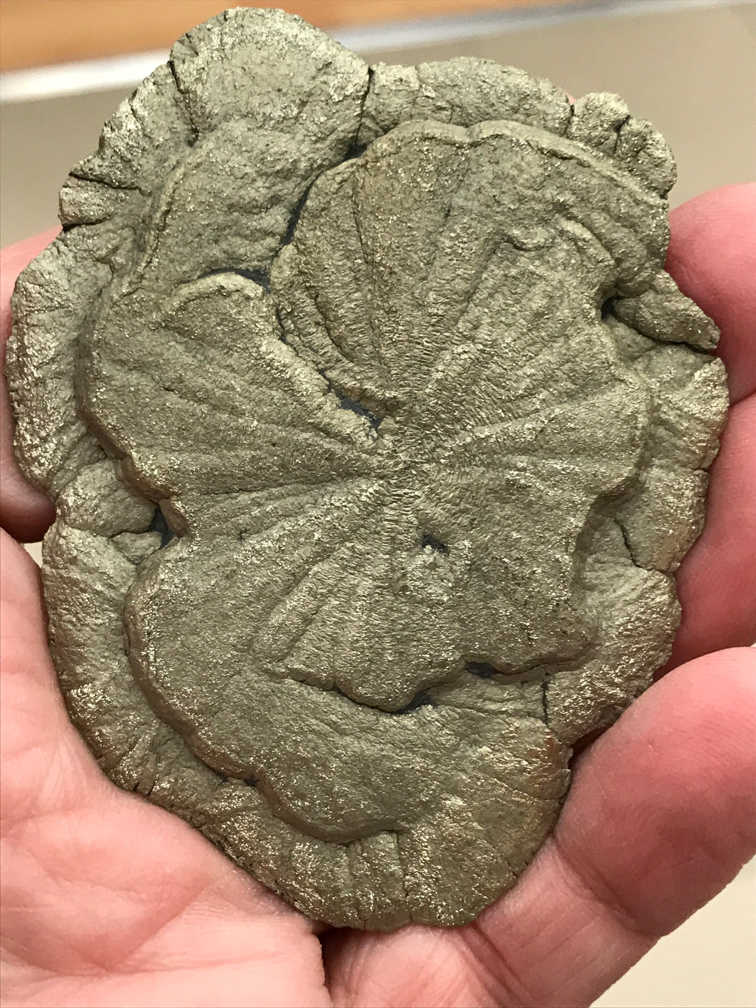 PYRITE SUN