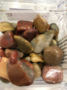 PETRIFIED WOOD