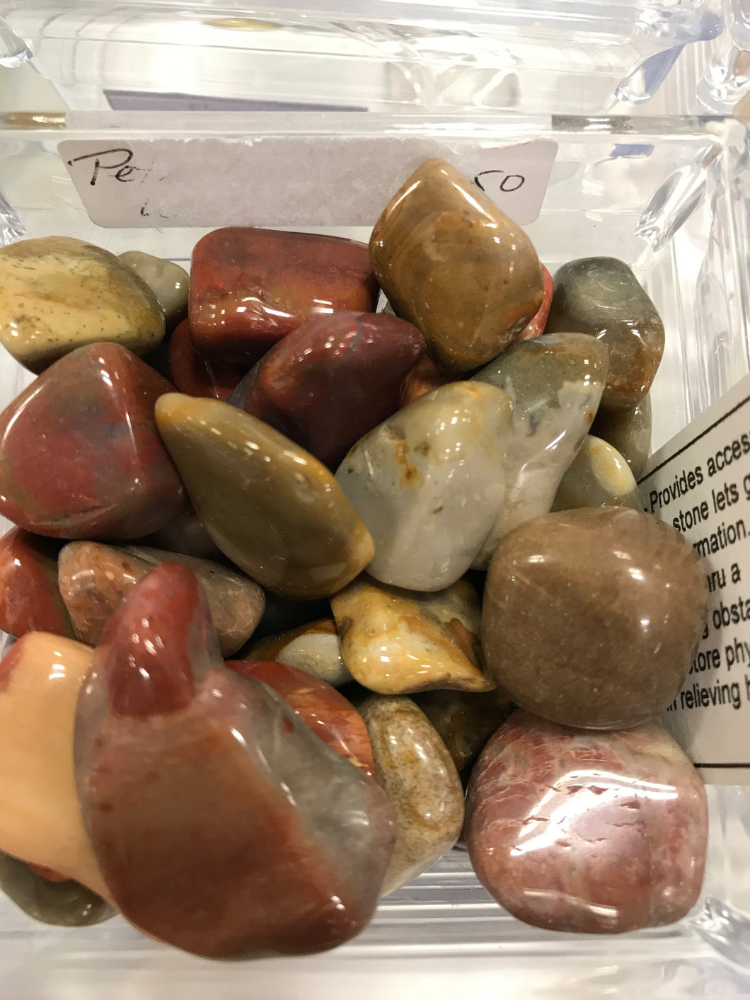 PETRIFIED WOOD