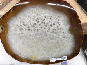 AGATE SLICE NATURAL