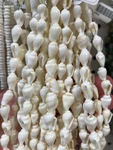 TRUMPET SHELL BEADS