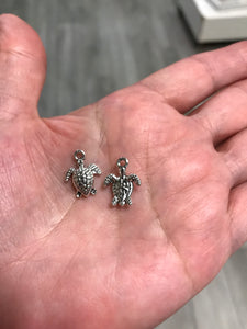 CHARM TURTLE