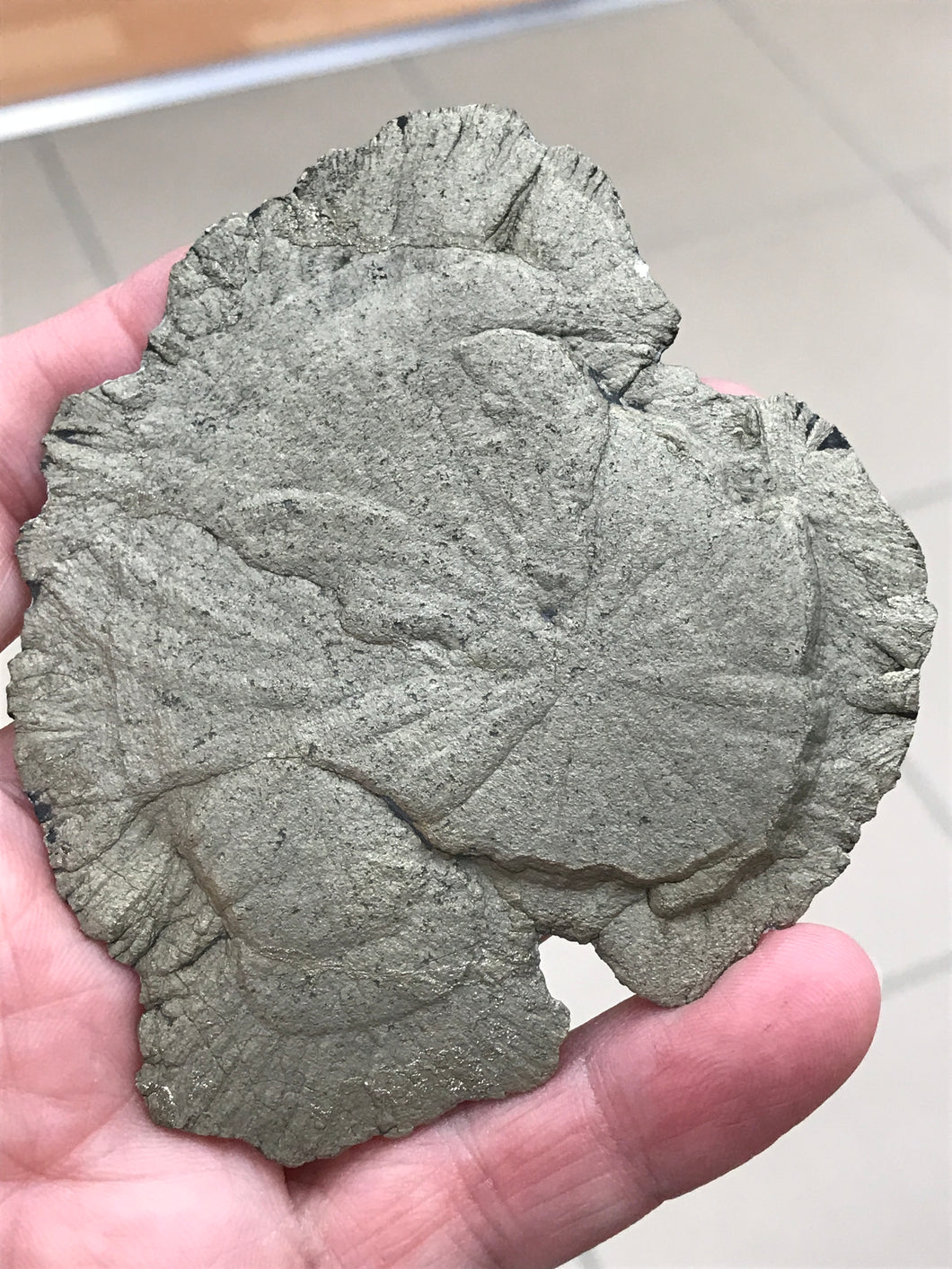 PYRITE SUN