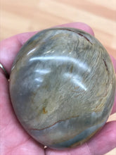 Load image into Gallery viewer, POLYCHROME JASPER PALM STONE
