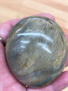 POLYCHROME JASPER PALM STONE