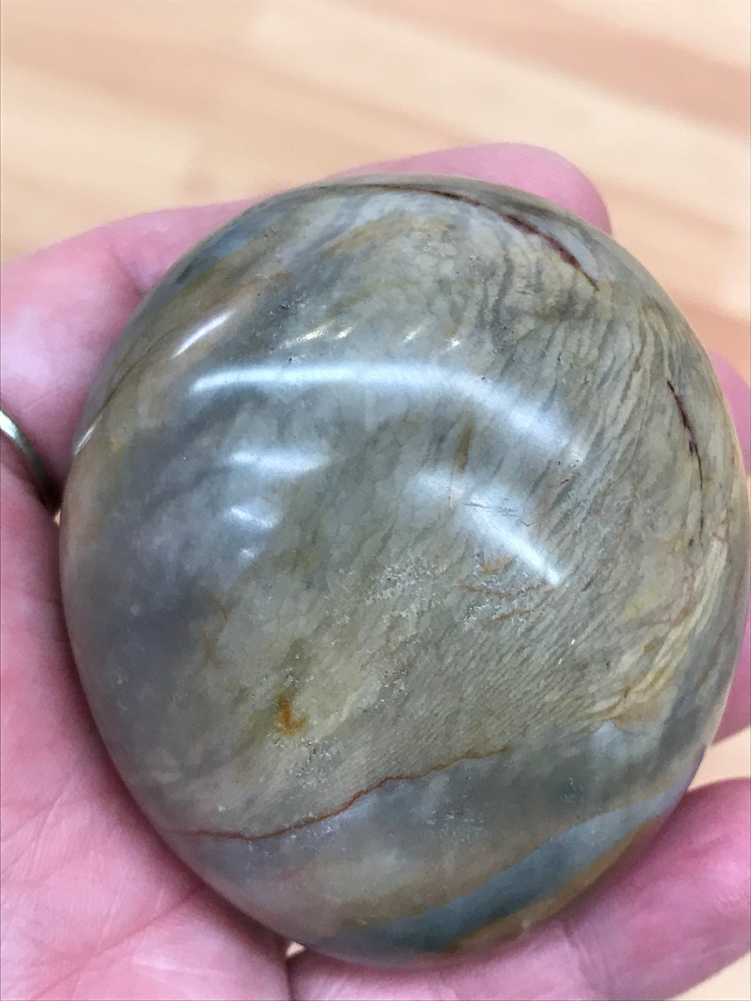POLYCHROME JASPER PALM STONE