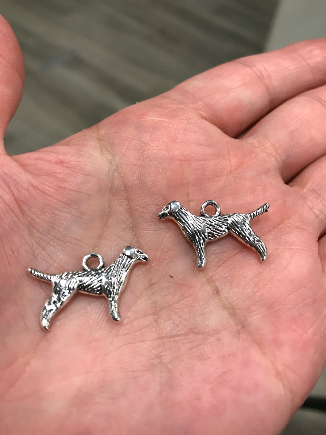 CHARM DOG