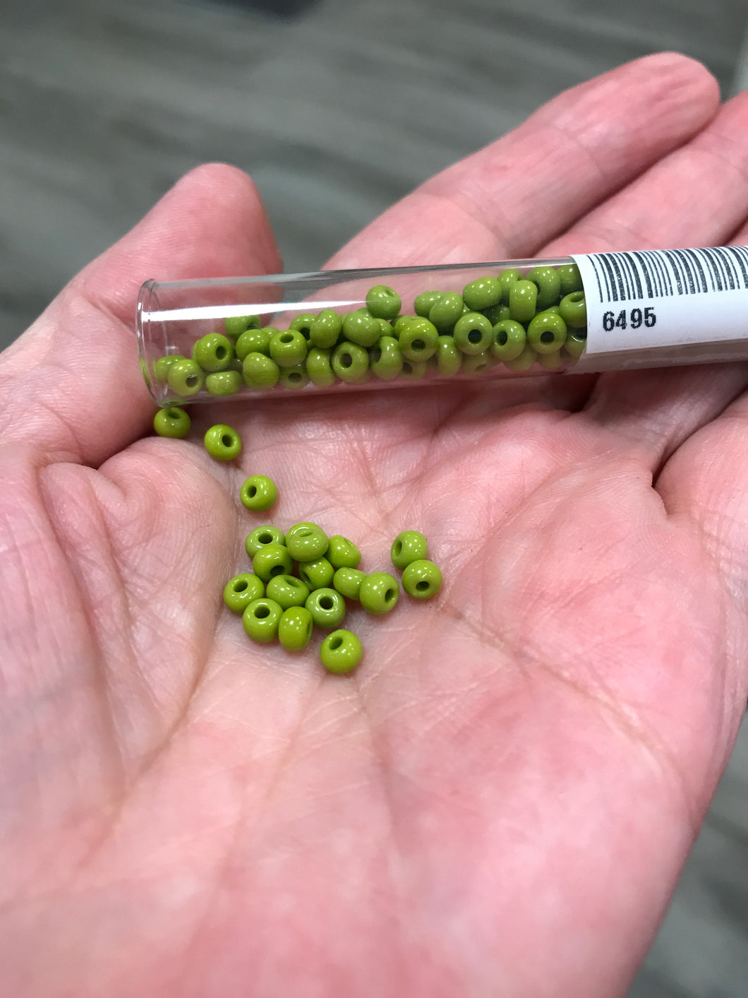 CZECH SEED BEAD 6/0