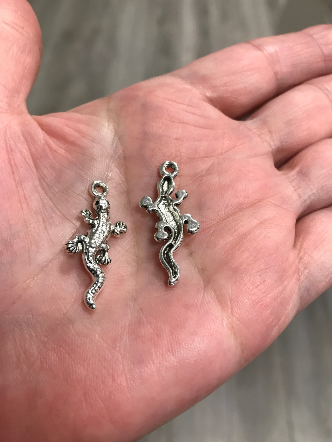 CHARM LIZARD