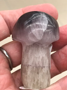 FLUORITE MUSHROOM