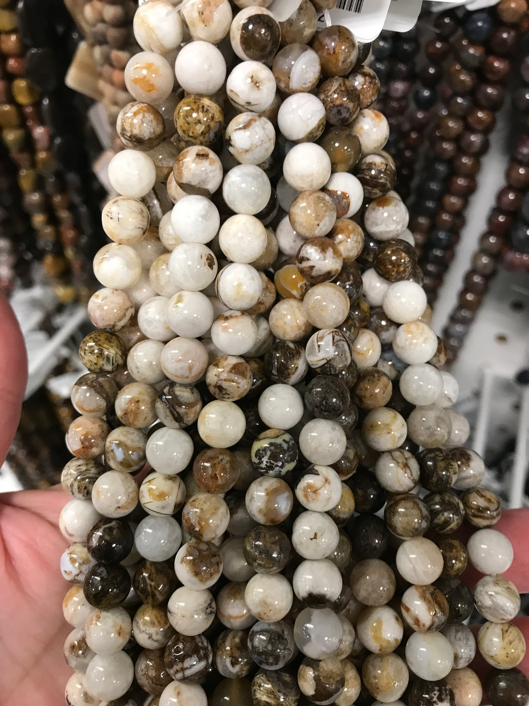 PETRIFIED WOOD 8MM