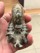 Load image into Gallery viewer, AMMONITE SUTURED END
