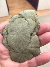 Load image into Gallery viewer, PYRITE SUN
