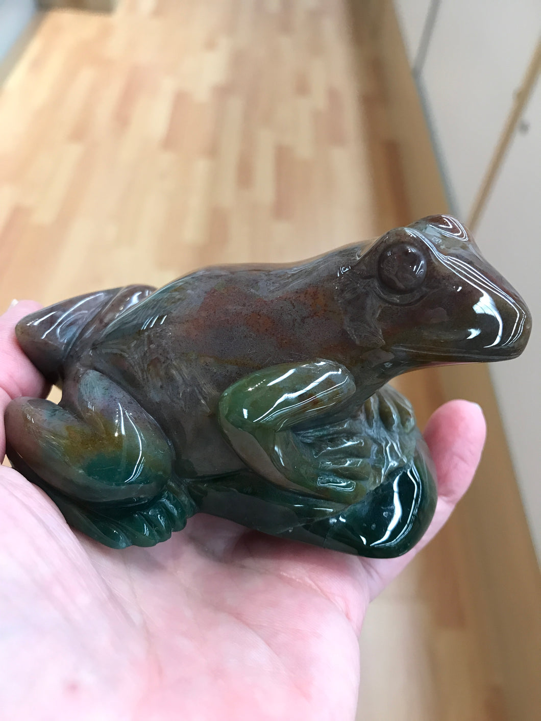 INDIAN AGATE FROG