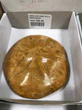 Load image into Gallery viewer, FOSSILIZED SAND DOLLAR
