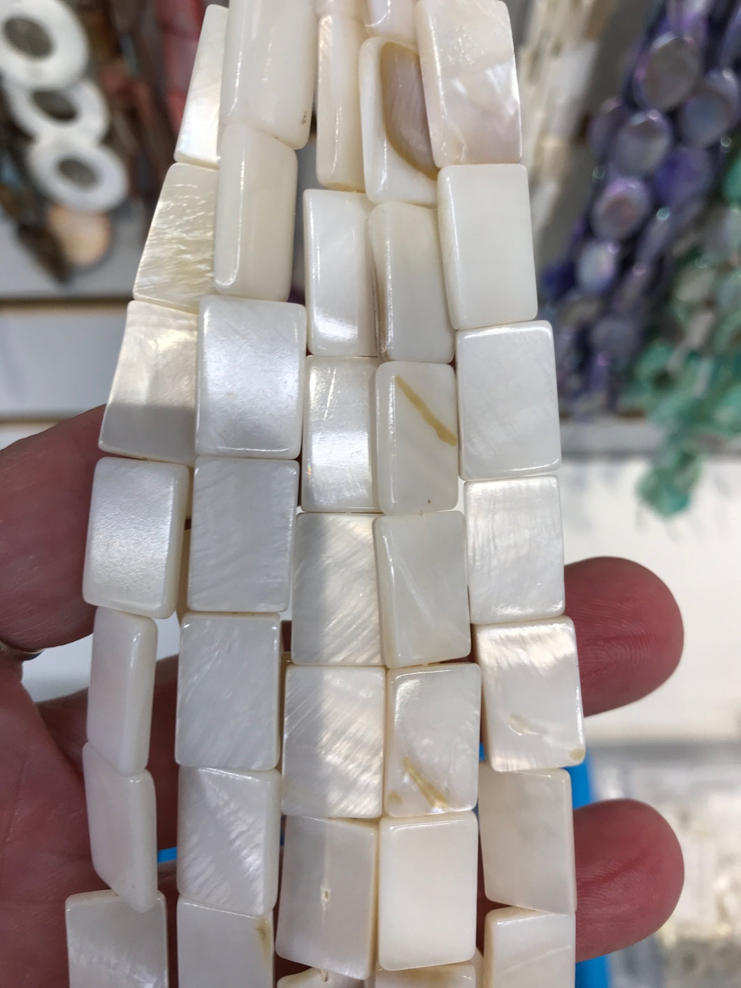SHELL RECTANGLE 15X10MM