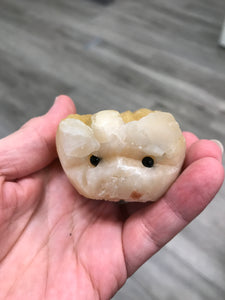 ZEOLITE CRITTER