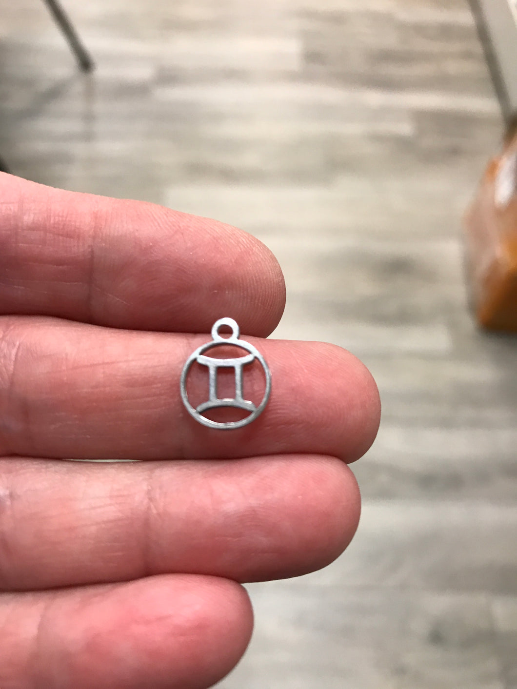 316 STAINLESS GEMINI CHARM