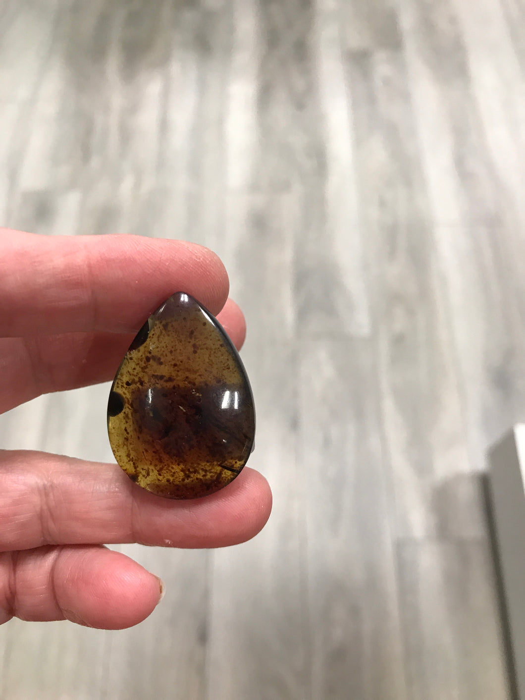 CABOCHON BALTIC AMBER