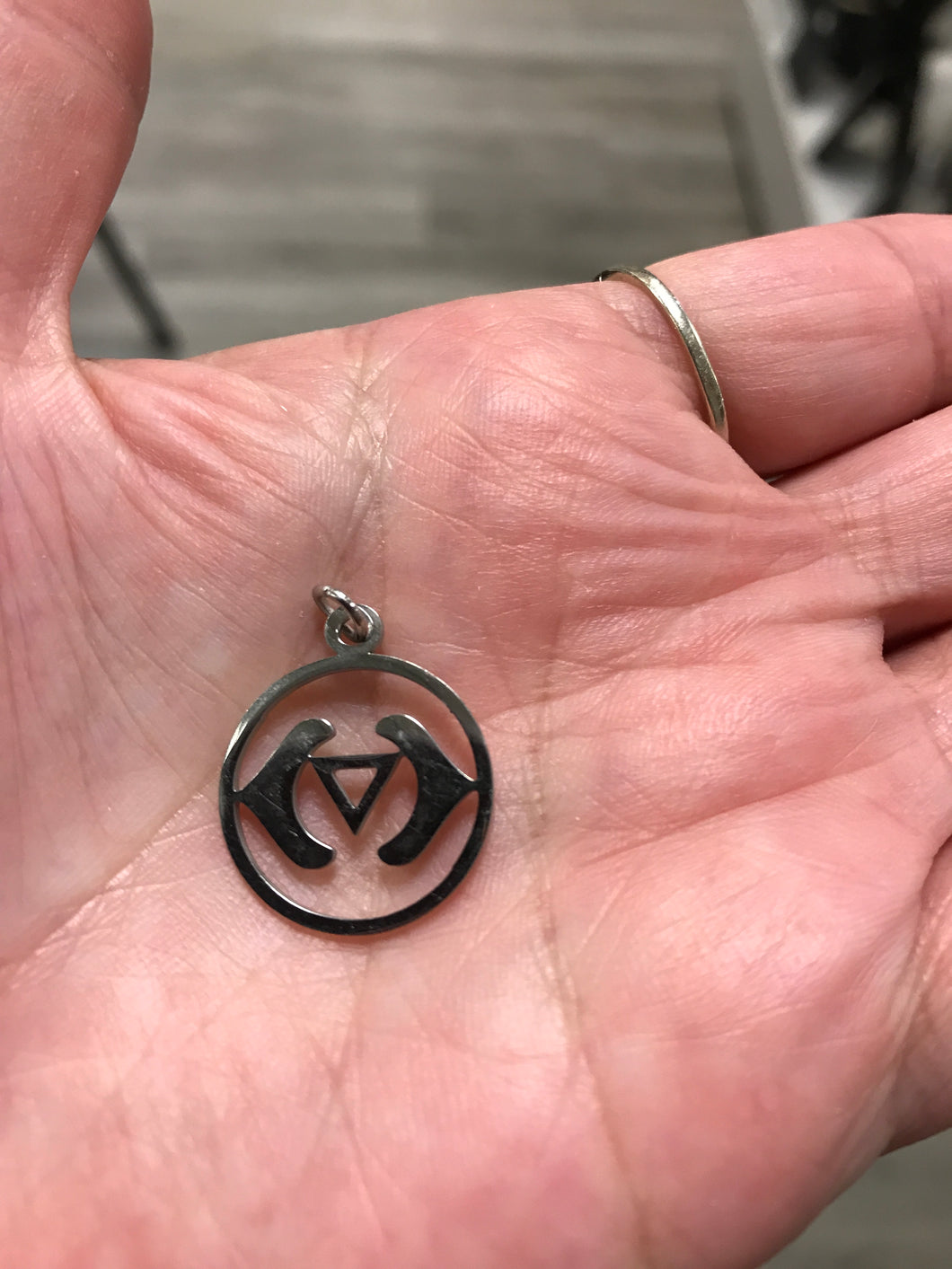 304 STAINLESS ANJA CHARM