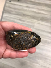 Load image into Gallery viewer, BALTIC AMBER
