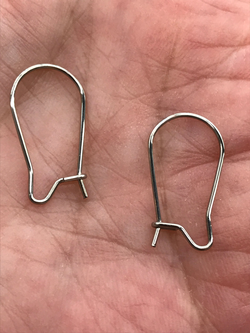 304 STAINLESS EAR WIRES